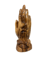 Detailed Praying Hands