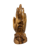 Detailed Praying Hands